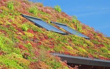 Blackden Heath living roof systems