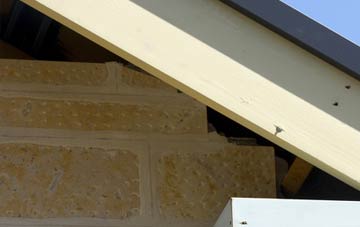 soffit repair Blackden Heath